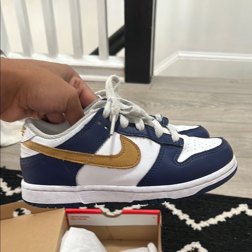 Kids Nike Dunk Low PSE
